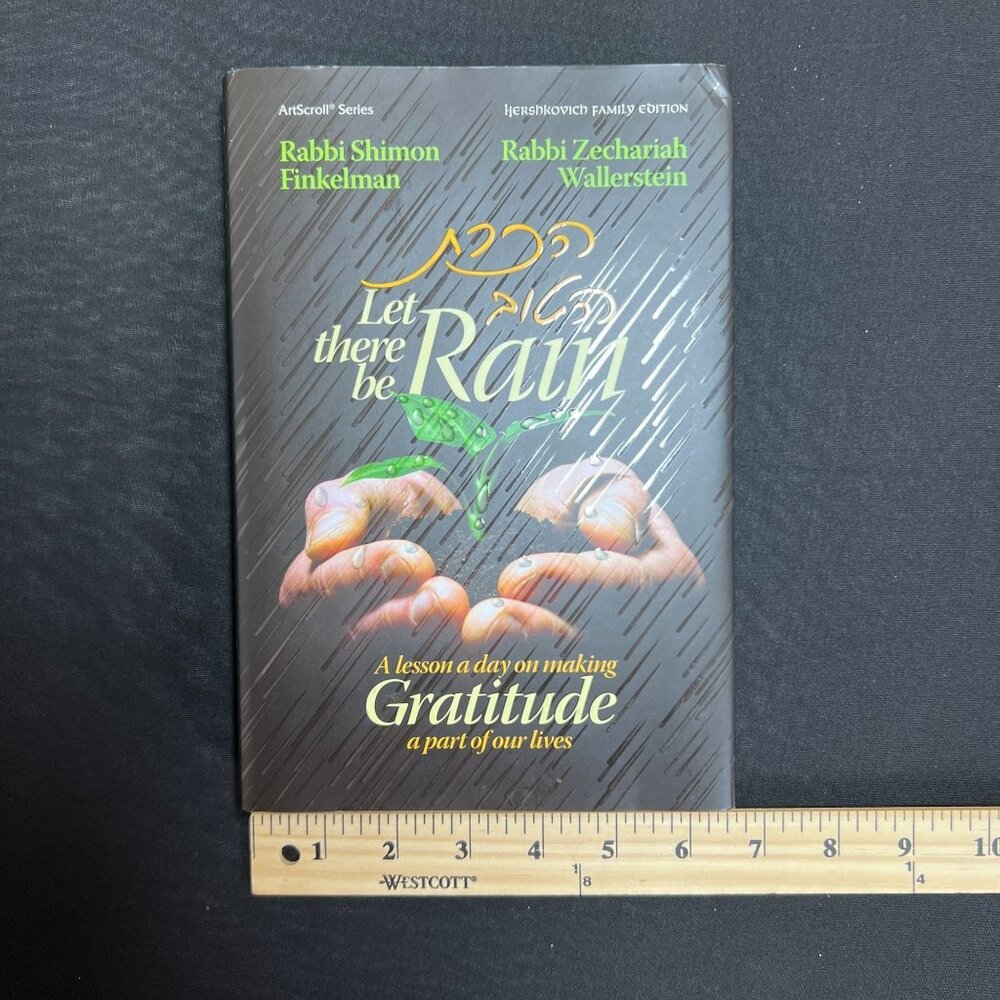 Let There Be Rain A Lesson A Day On Making Gratitude A Part Of Our Lives - Picture 6 of 10